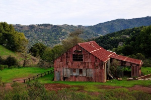 The Old Red Barn